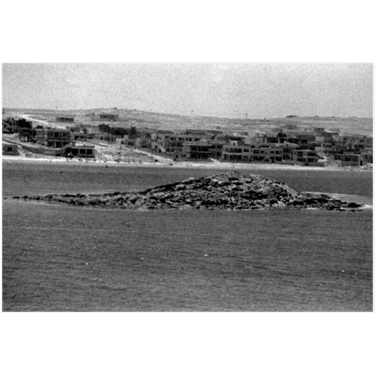 Black and white photo of Plate 14A. Bate's Island, from the north.