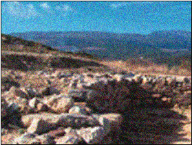 Color photo. Figure 6: Original image enlarged at 200%.