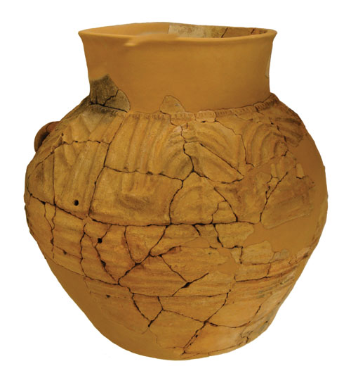 Color photo of Frontispiece. Pithos holding 165 kg with decoration of applied clay moldings. From Early Minoan I, from Aphrodite’s Kephali (photograph by Chronis Papanikolopoulos).