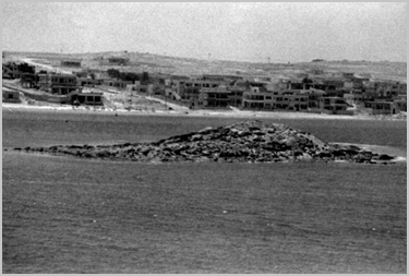 Black and white photo of Bate's Island, from the north (Area V).